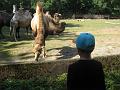 Zoo Cottbus 012